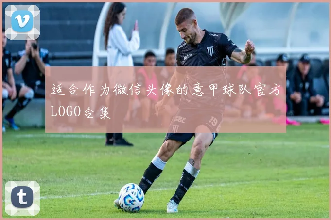 适合作为微信头像的意甲球队官方LOGO合集