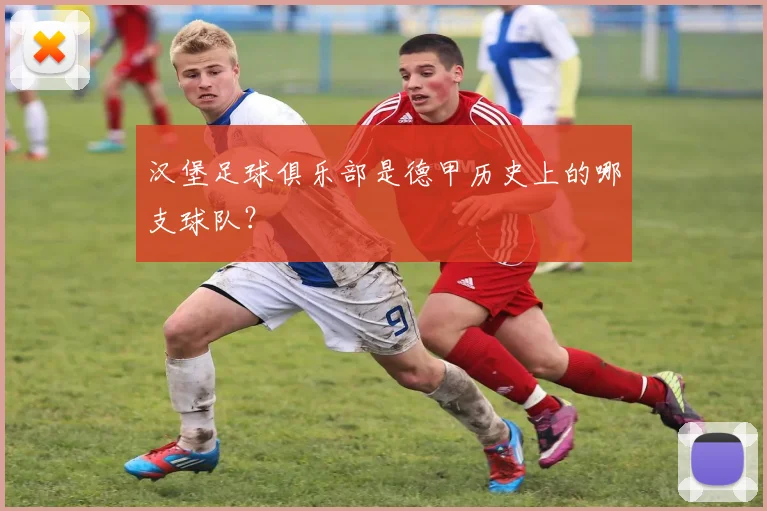 汉堡足球俱乐部是德甲历史上的哪支球队？