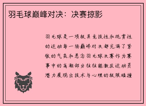 羽毛球巅峰对决：决赛掠影