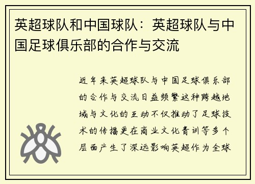 英超球队和中国球队：英超球队与中国足球俱乐部的合作与交流